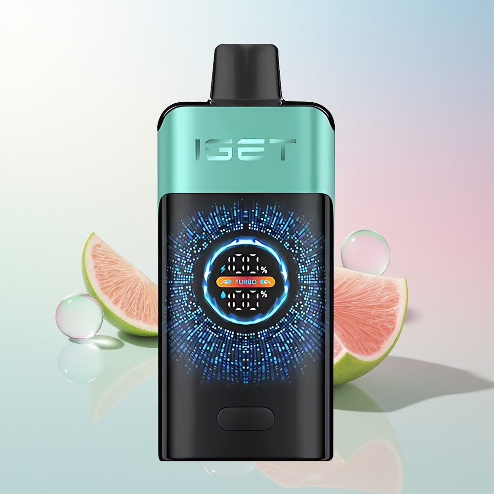 Wholesale Croatia IGET ONE 12000 Puffs Jednokratna Vape Planinska Proljetna Meta Led