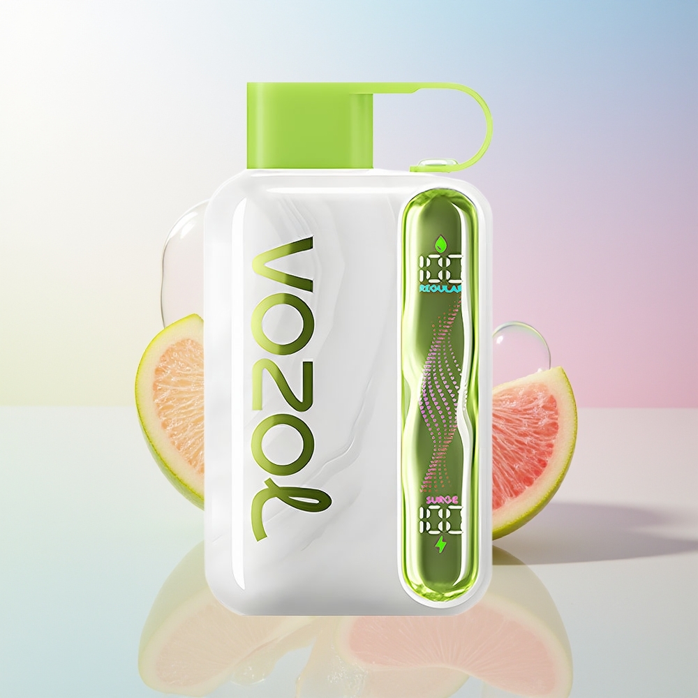 Wholesale Croatia VOZOL STAR 40000 Puffova Jednokratna Vape Kisela Jabuka Led Battery 1000mAh Nicotine 20/50mg/ml Type-C