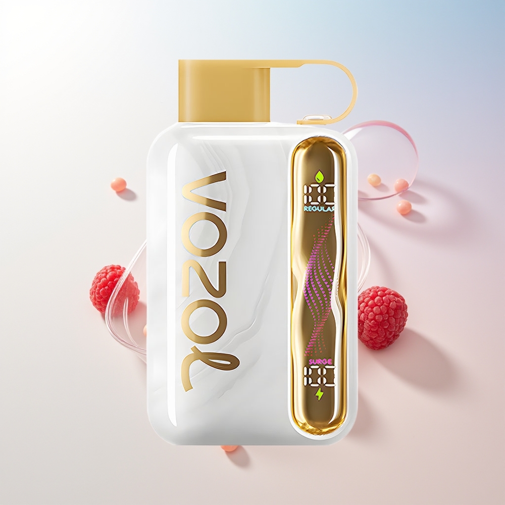 Wholesale Croatia VOZOL STAR 40000 Pufova Bijeli Breskva Malina Jednokratna Vape 1000mAh Type-C 20/50mg/ml