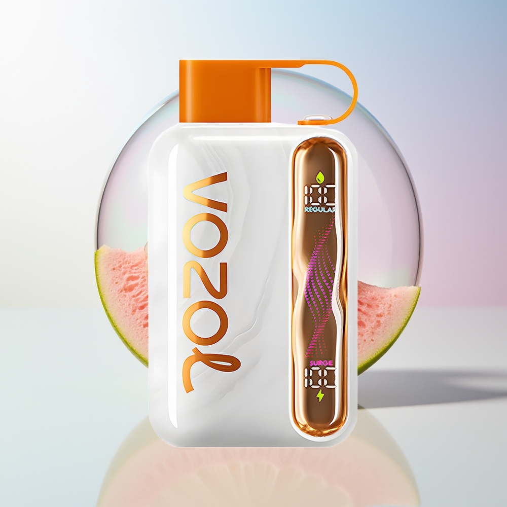 Wholesale Croatia VOZOL STAR 40000 Pufova Jednokratna Vape 1000mAh Type-C 20/50mg/ml Vzbull
