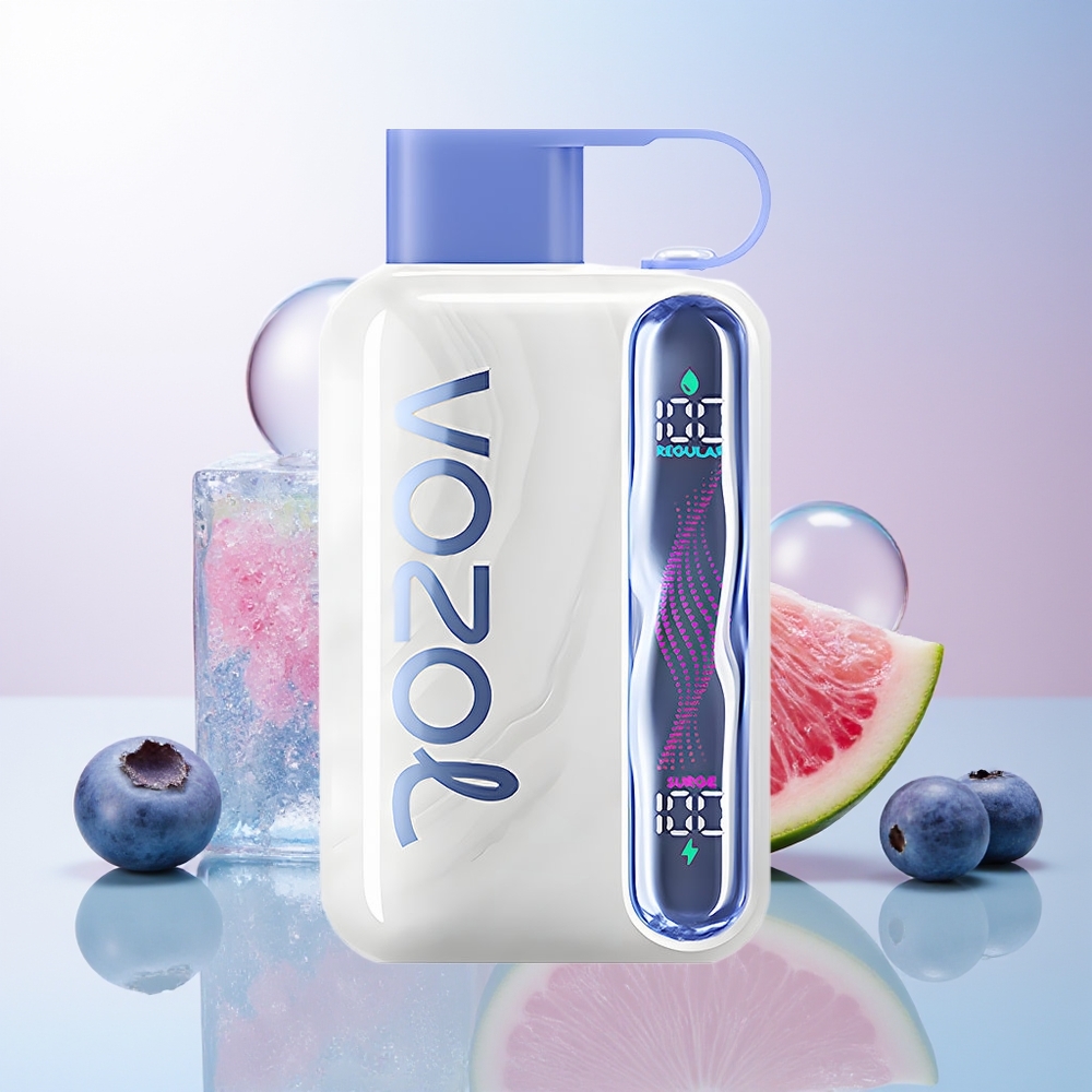 Wholesale Croatia VOZOL STAR 40000 Pufova Jednokratna Vape Borovnica Led + 1000mAh 20/50mg/ml Type-C
