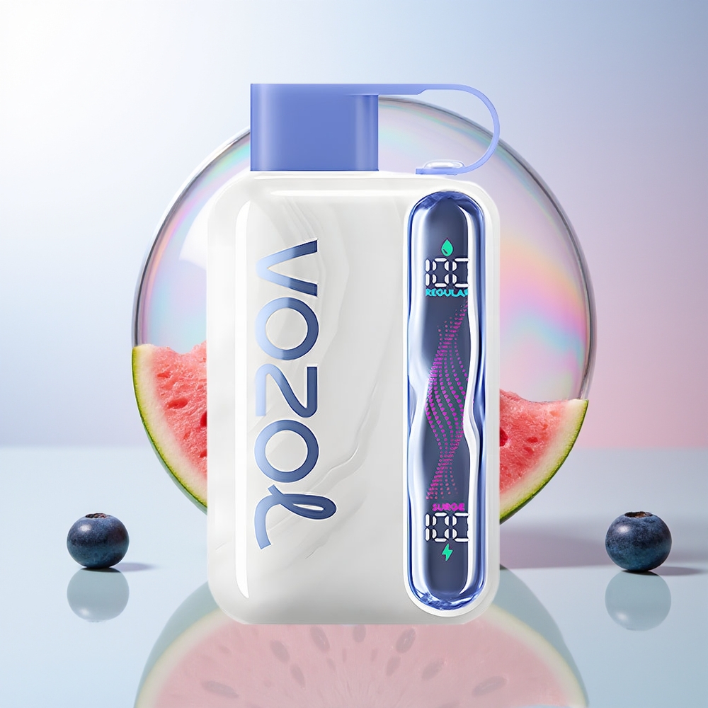Wholesale Croatia VOZOL STAR 40000 Pufova Jednokratna Vape Borovnica Lubenica 1000mAh Type-C 20/50mg/ml