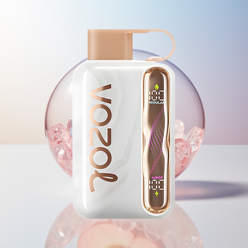 Wholesale Croatia VOZOL STAR 40000 Pufova Jednokratna Vape Breskva Led 1000mAh Type-C 20/50mg/ml