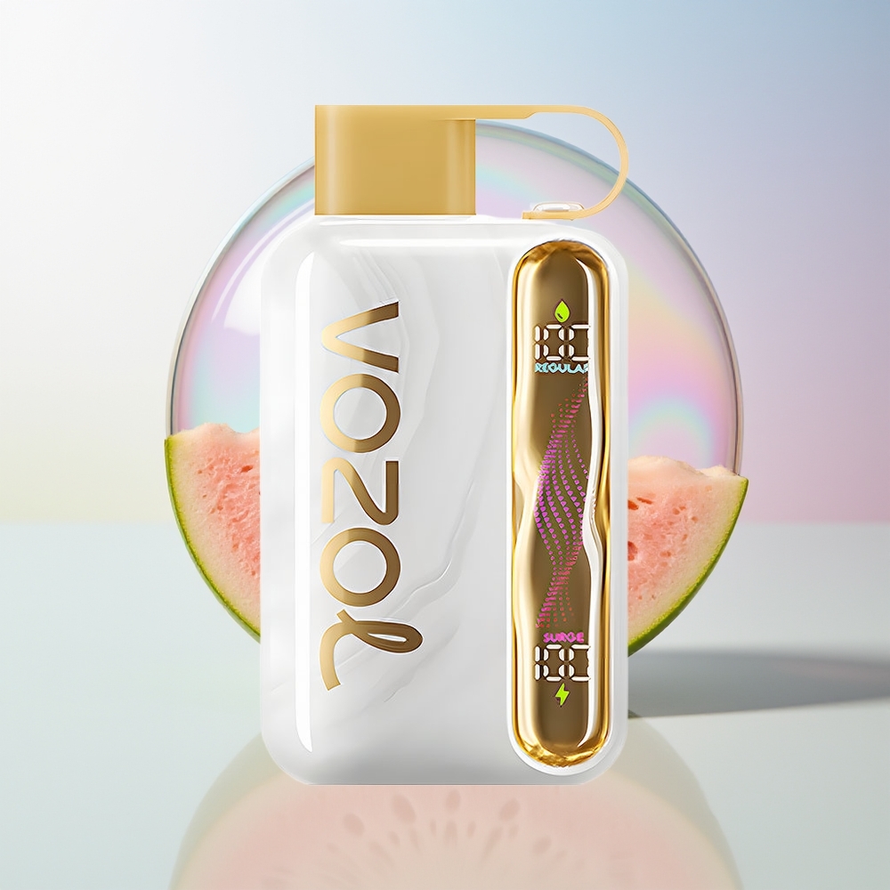 Wholesale Croatia VOZOL STAR 40000 Pufova Jednokratna Vape Dinje Žvakača 1000mAh Type-C 20/50mg/ml