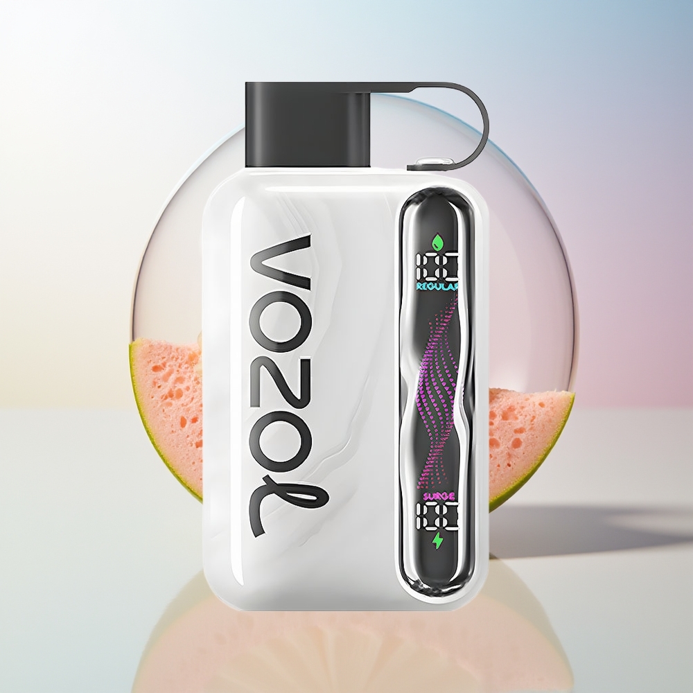 Wholesale Croatia VOZOL STAR 40000 Pufova Jednokratna Vape Duhan 1000mAh Type-C 20/50mg/ml