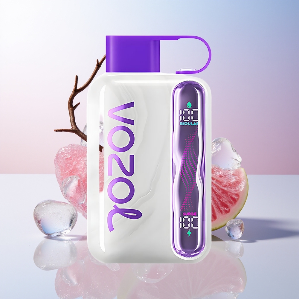 Wholesale Croatia VOZOL STAR 40000 Pufova Jednokratna Vape Grožđe Led 1000mAh Type-C 20/50mg/ml