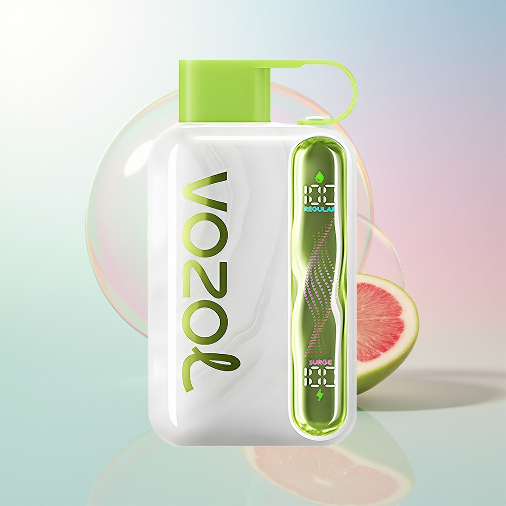 Wholesale Croatia VOZOL STAR 40000 Pufova Jednokratna Vape Hladna Meta 1000mAh 20/50mg/ml Type-C