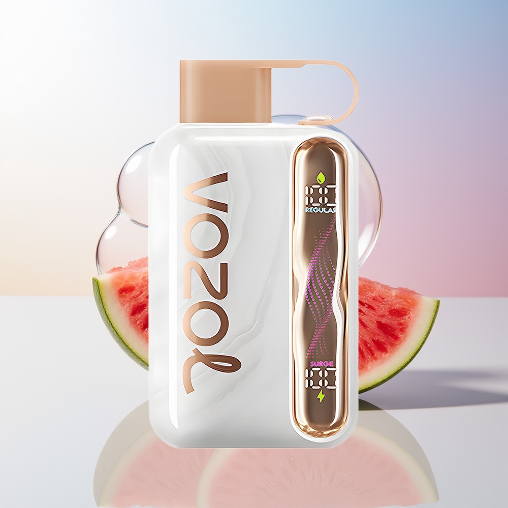 Wholesale Croatia VOZOL STAR 40000 Pufova Jednokratna Vape Jagoda Lubenica 1000mAh 20/50mg/ml Type-C