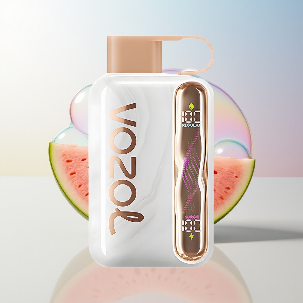 Wholesale Croatia VOZOL STAR 40000 Pufova Jednokratna Vape Jagoda Lubenica Brest 1000mAh Type-C 20/50mg/ml