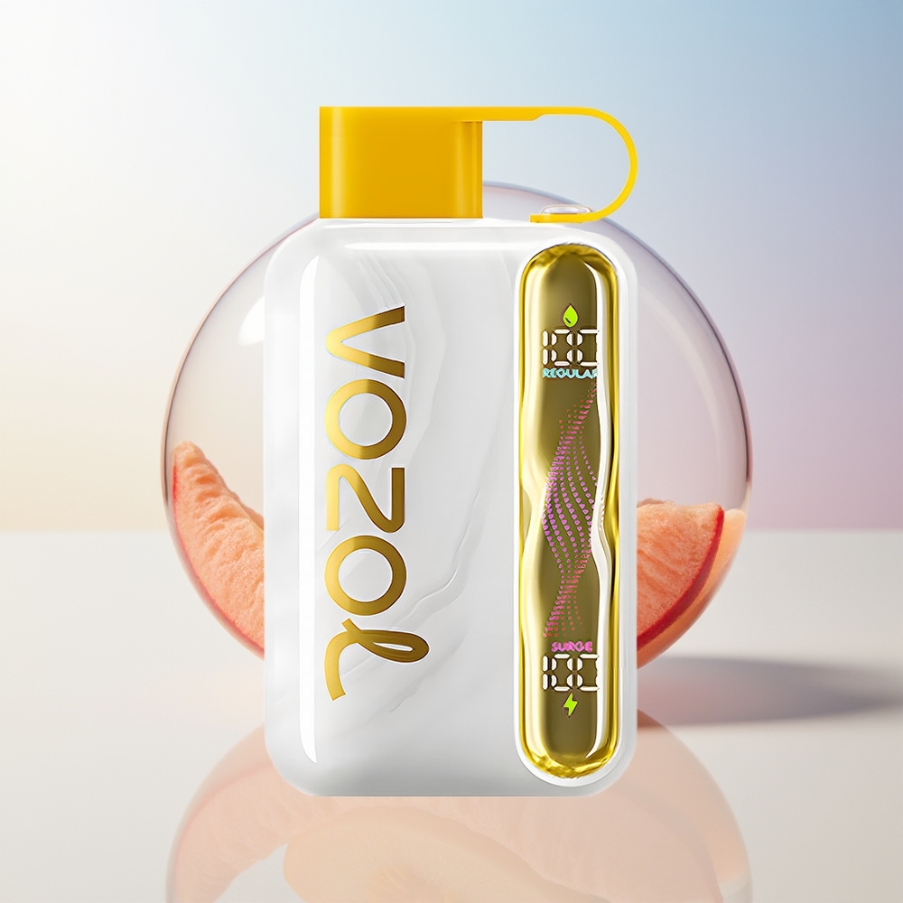 Wholesale Croatia VOZOL STAR 40000 Pufova Jednokratna Vape Mango Breskva 1000mAh 20/50mg/ml Type-C