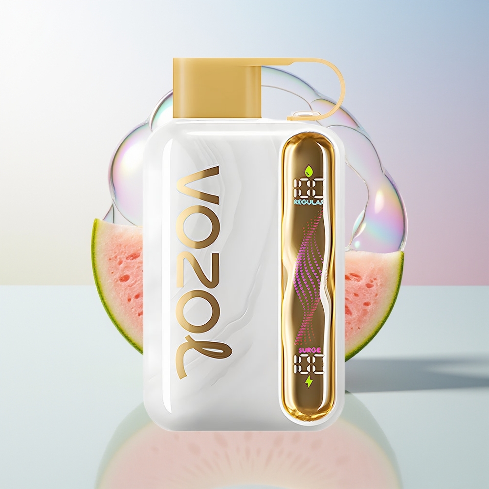 Wholesale Croatia VOZOL STAR 40000 Pusta Jednokratna Vape Dinja Led + Type-C Punjenje 1000mAh 20/50mg/ml