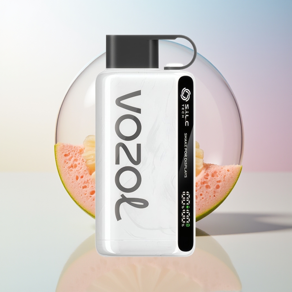 Wholesale Croatia VOZOL STAR 9000/12000 Dušanski Vape Duhan SiLC TECH 650mAh Brza Punjenje