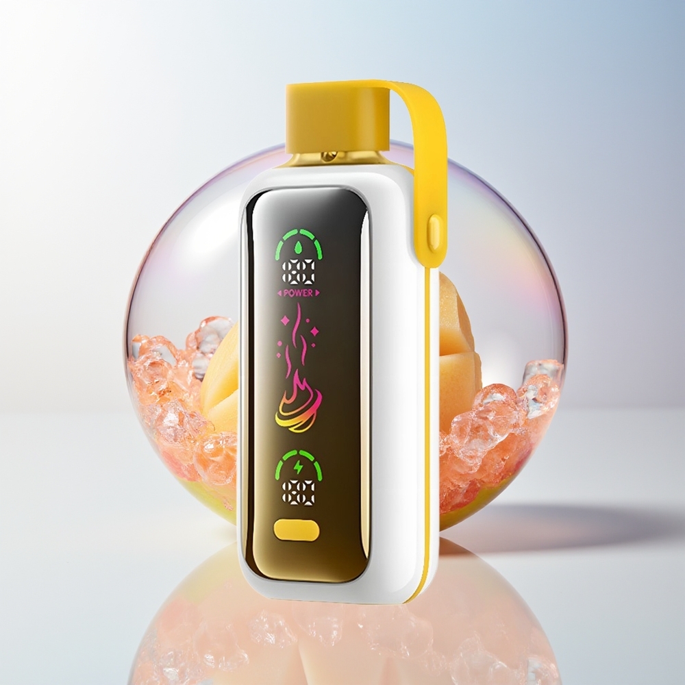 Wholesale Croatia VOZOL Star 20000 Puffs Dual Mesh HD Mirror Screen Mango Led Jednokratna Vape