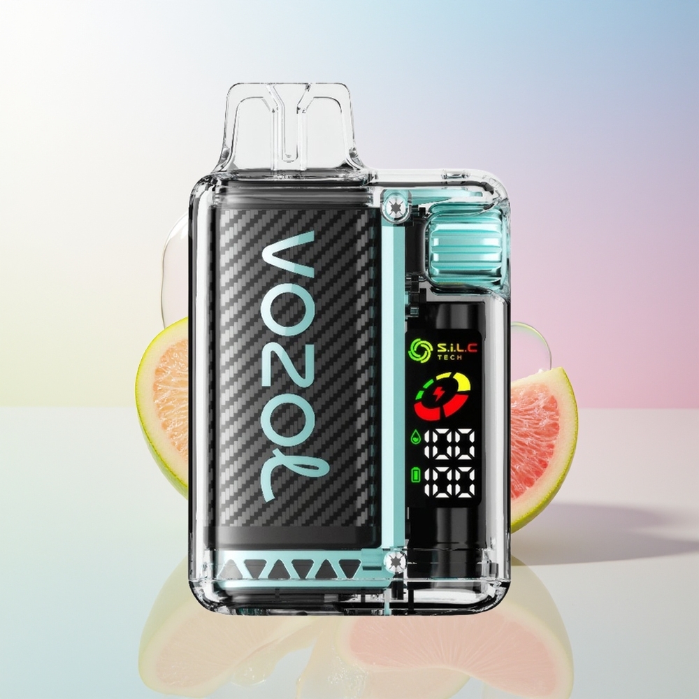 Wholesale Croatia VOZOL Vista 20000 Puffs Kiselkasto Jabuka Led Rechargeable Battery OLED Screen Dual Mesh Coil MCU Chip 6-level Watt Adjustment TPD Compliant
