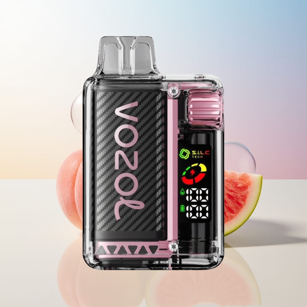 Wholesale Croatia VOZOL Vista 20000 Pufova Breskva Mango Lubenica OLED Ekran SiLC Tech Dual Mesh Coil 650mAh 6-stupnjeva regulacije snage