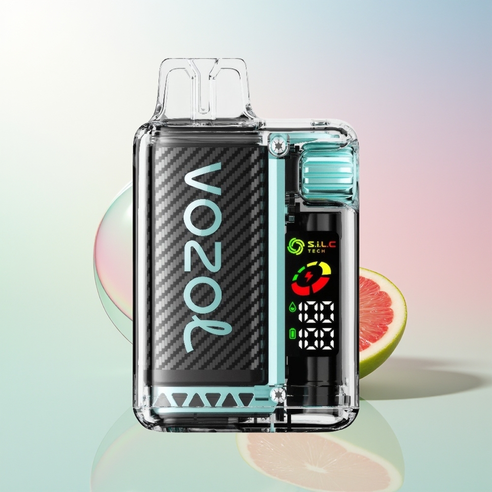 Wholesale Croatia VOZOL Vista 20000 Pufova Jednokratna Vape Miami Metvica 650mAh 2 Nikotina OLED Ekran SiLC Tech Dual Mesh Coil MCU Chip 65 PCR 6-stupnjeva Podešavanja