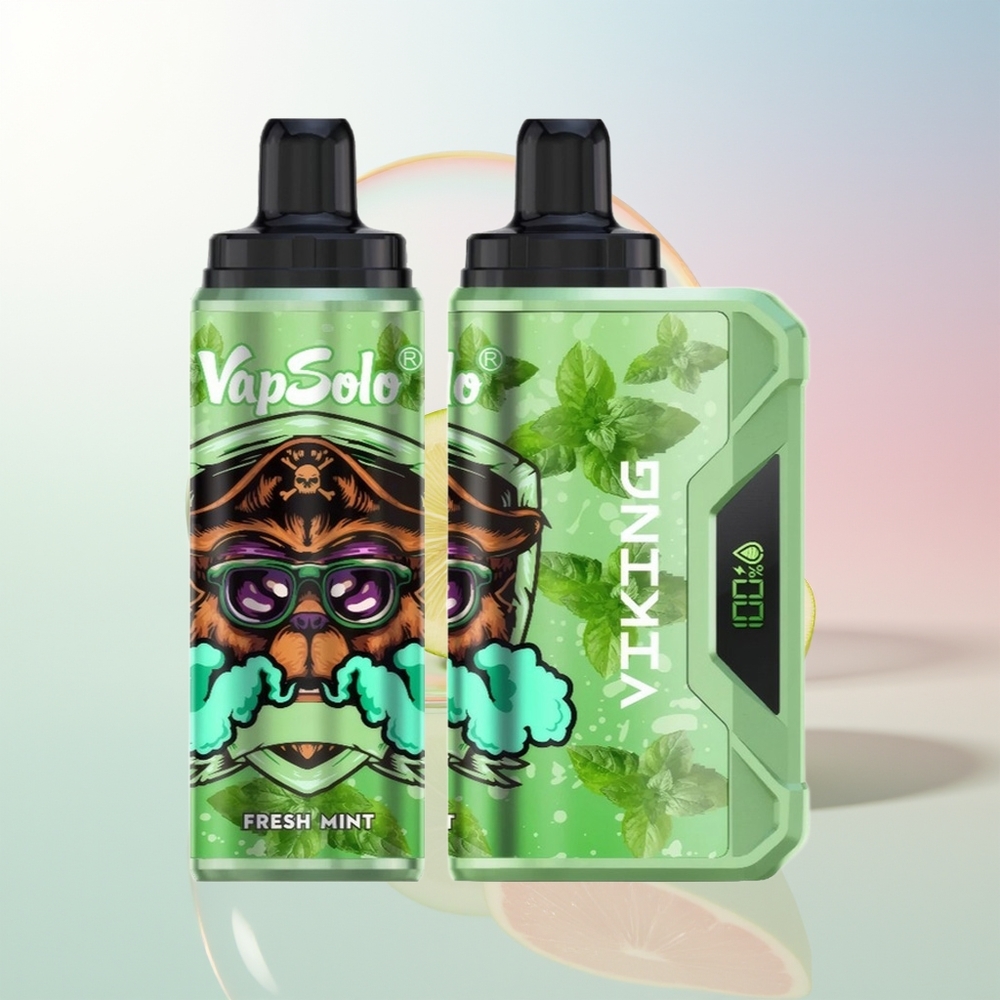 Wholesale Croatia VapSolo VIKING 12000 Puffs Jednokratna Vape Svježa Meta 22ml Type-C LED Display