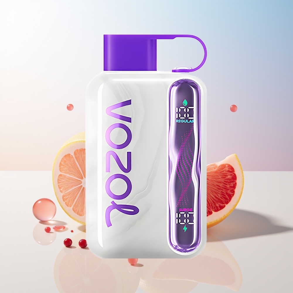 Wholesale Croatia VOZOL STAR 40000 Puffs Jednokratna Vape Čerimoja Grejpfrut Bobice 1000mAh Type-C 20/50mg/ml