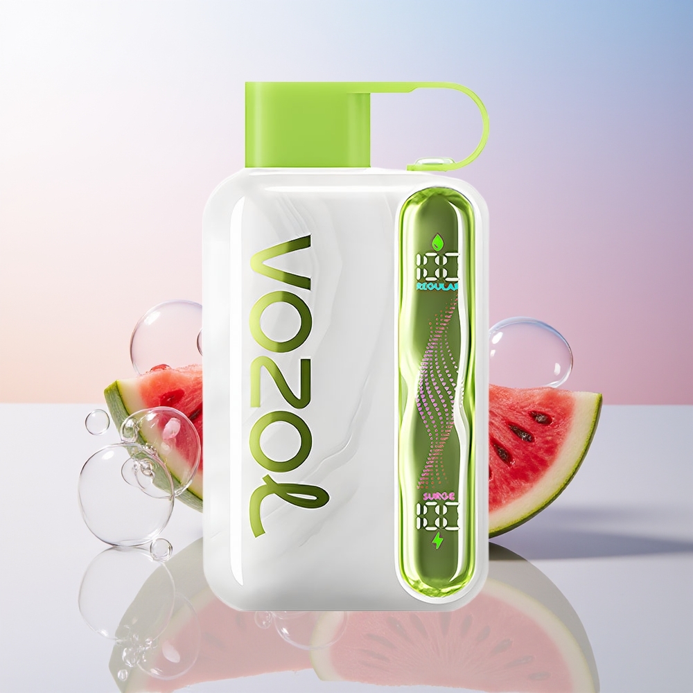 Wholesale Croatia VOZOL STAR 40000 Pufova Jednokratna Vape Lubenica Grožđe Boysenberry 1000mAh Type-C 20/50mg/ml