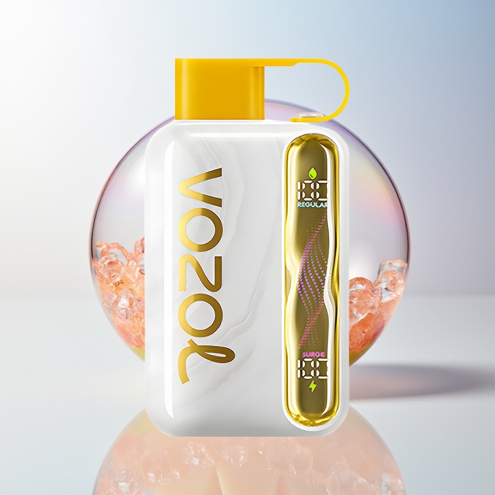 Wholesale Croatia VOZOL STAR 40000 Pufova Jednokratna Vape Mango Led Kombinacija 1000mAh Type-C 20/50mg/ml