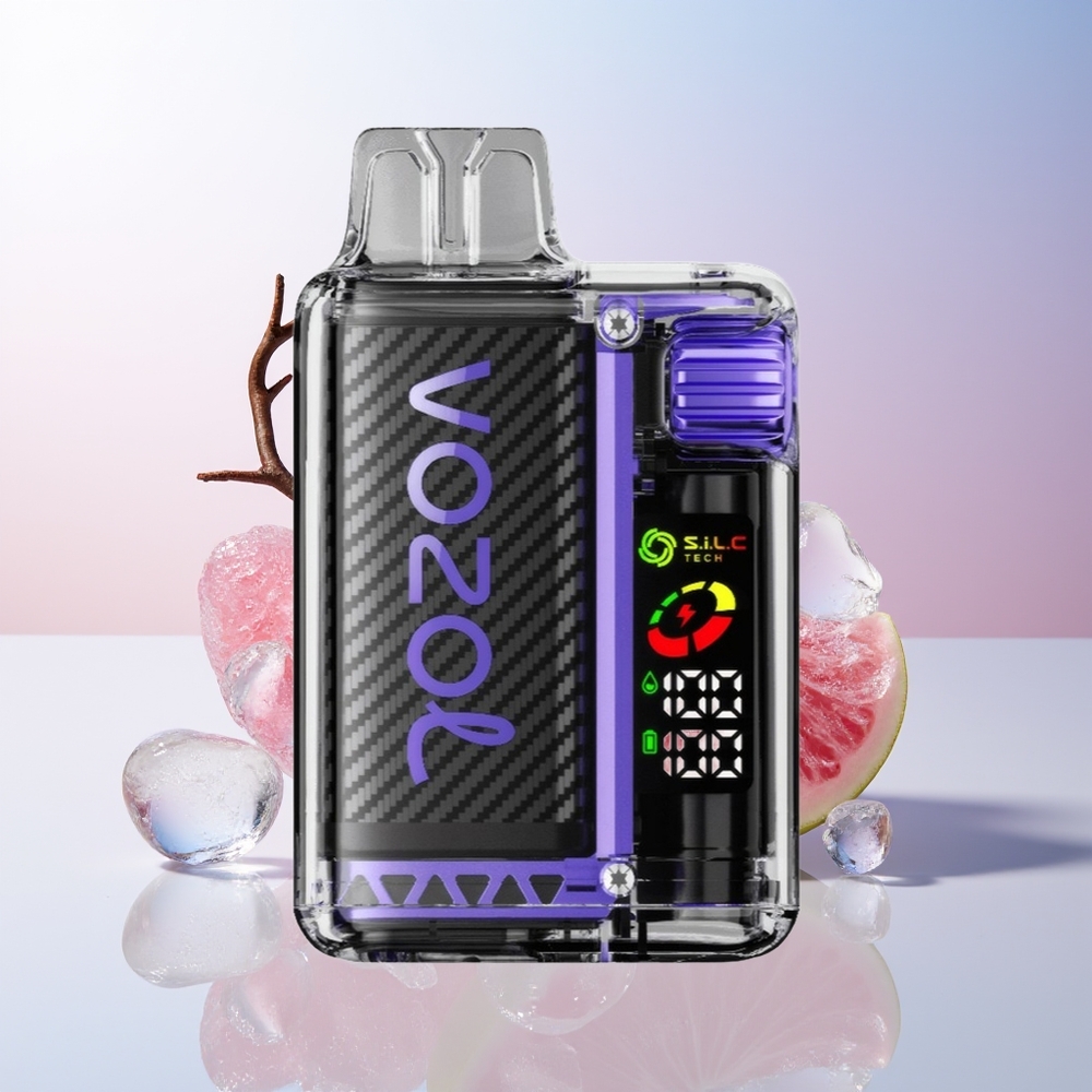 Wholesale Croatia VOZOL Vista 20000 Pufova Jednokratna Vape Grožđe Led Rechargeable 650mAh OLED Screen Dual Mesh Coil MCU Chip 6-level Watt TPD Compliant
